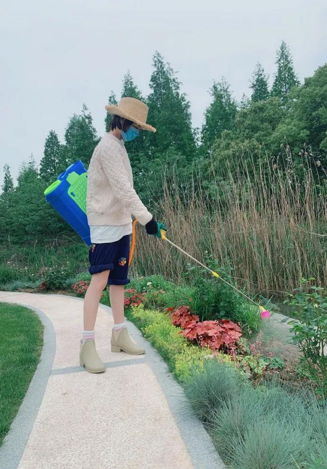 「张馨予」张馨予坦言收视率再高也不要再和热巴合作？给出的理由也太可爱了