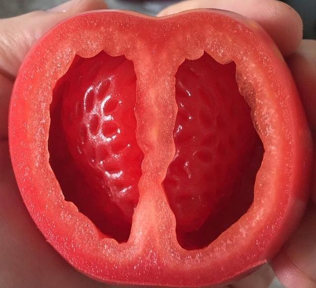 【太空】一生都难得一见的奇葩植物，仿佛来自外太空