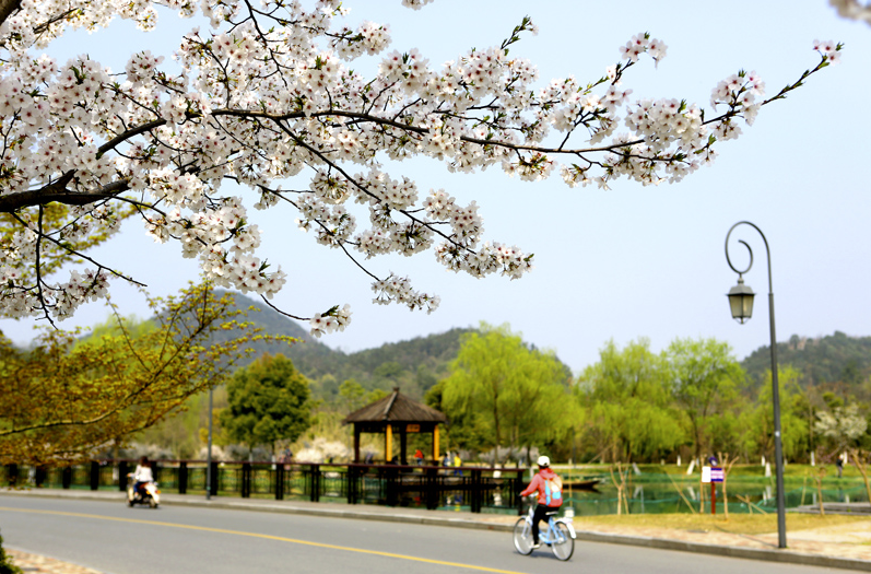 『浙江工业大学』国内最厉害的“工业大学”, 两所985三所211, 还有4所双非也在列
