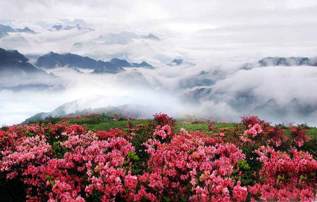 『南尖岩』五一这个浙西南的小城，必须一去