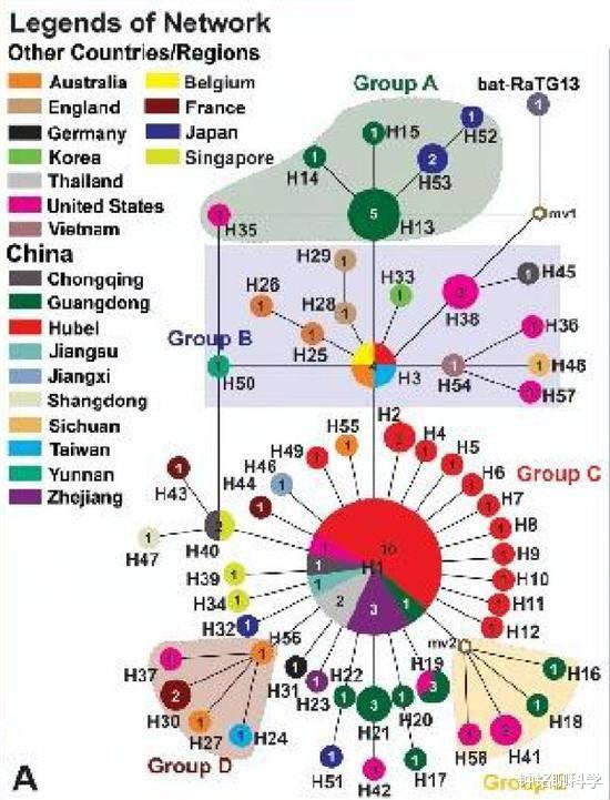 欧洲■北京新发地病毒基因测序发现来自欧洲方向，会导致二次爆发吗？