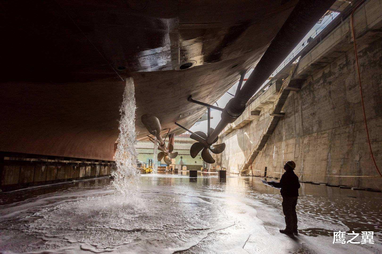 海洋生物|航母的螺旋桨有多可怕?看看这些鲨鱼的伤口,真是于心不忍
