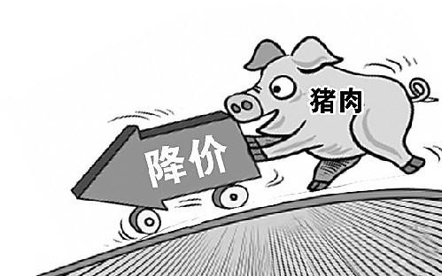 猪肉|猪肉价格居高不下，暴利之下，靠养猪赚钱行不行，答案来了！