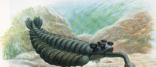 电影霸主|恐龙是上一代地球上的“霸主”，那地球第一代“霸主”是什么？