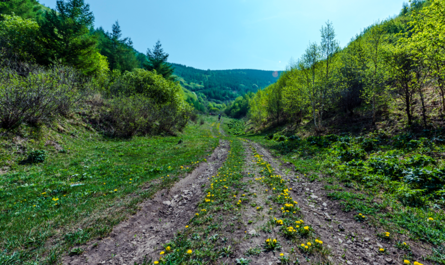 荣耀30|野路子IT人有没有未来?