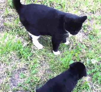 睡觉就睡觉，你掰我天线干嘛