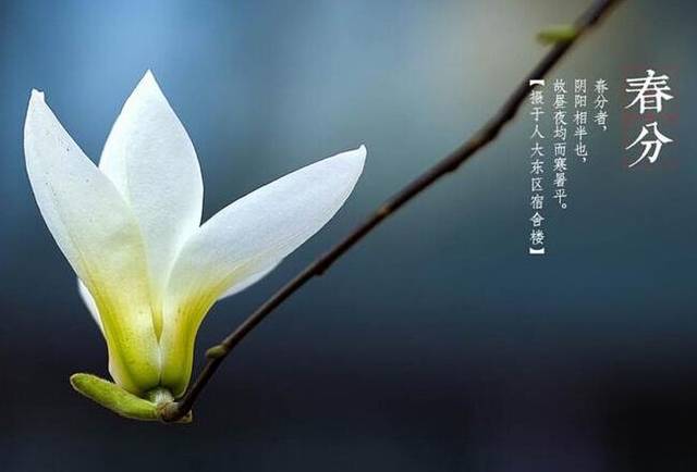 「属马」春季4月起，财运突飞猛进，万事大吉的四生肖，有望出人头地