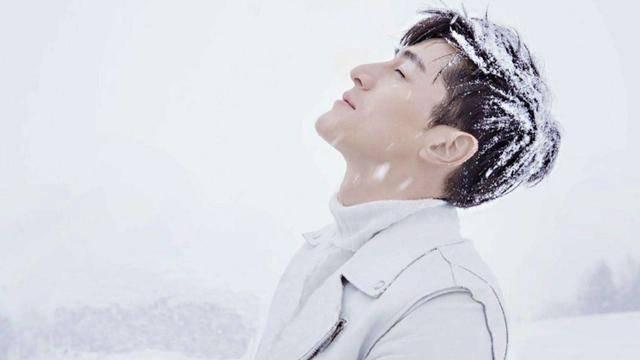 林心如▲胡歌一语说破，为何男演员们都不愿跟林心如合作，霍建华没说谎