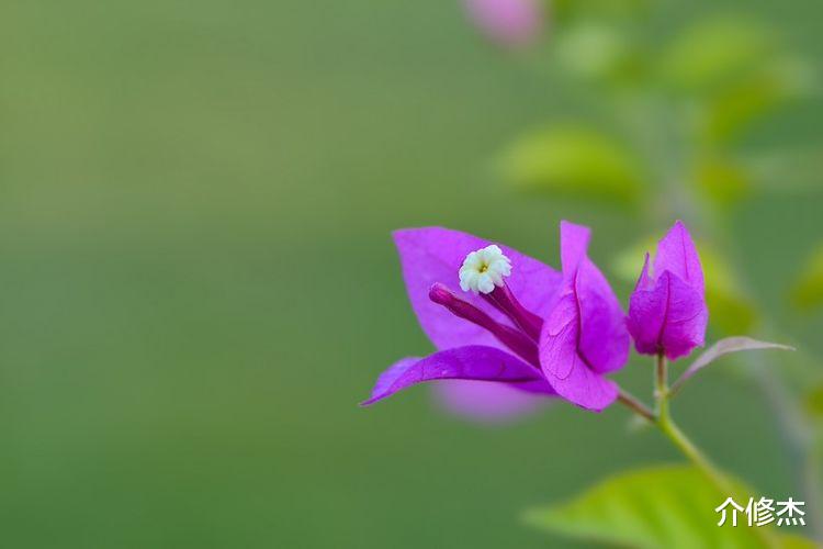 运势|未来10天，言归于好，欢欢喜喜，真爱涌入心扉的4大星座