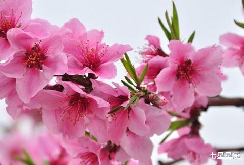 「生肖」添喜添财，6月22号，有贵人扶持，喜事不断的3大生肖