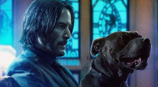 【基努·里维斯】为何基努·里维斯坚持更改，《疾速追杀》最初的片名？