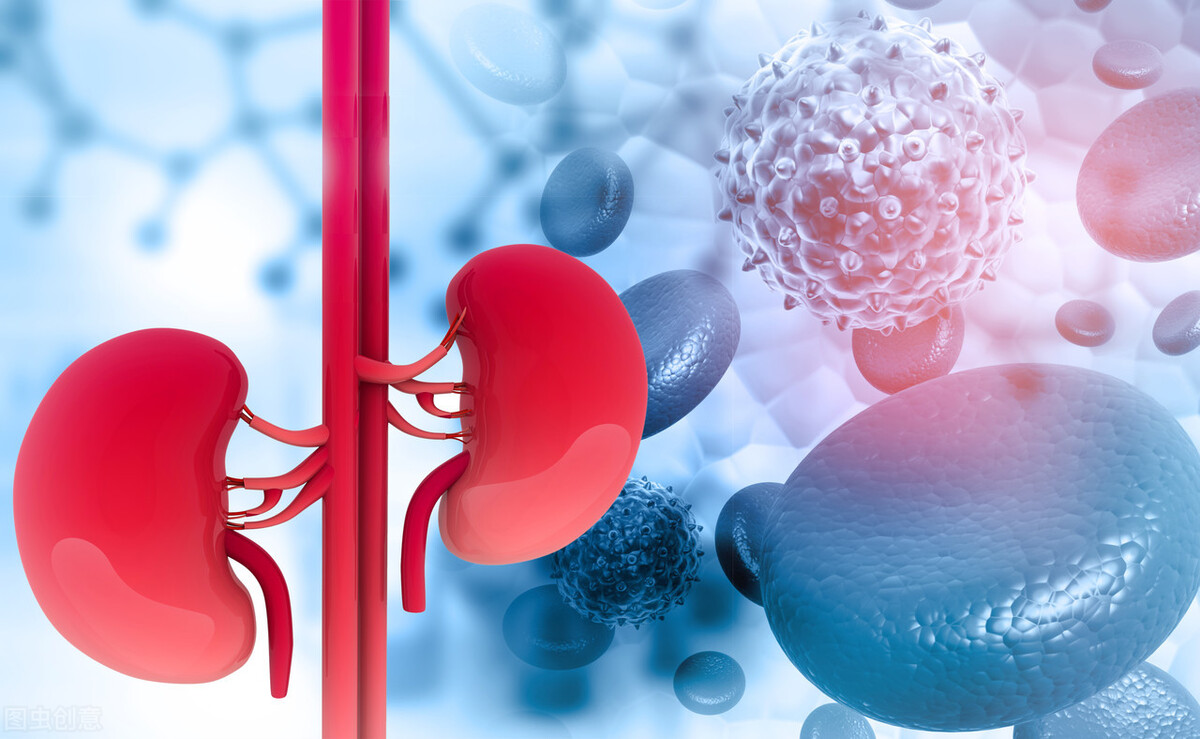 肾病|国医大师：肾不好的人，养肾不要错过“3味中药”