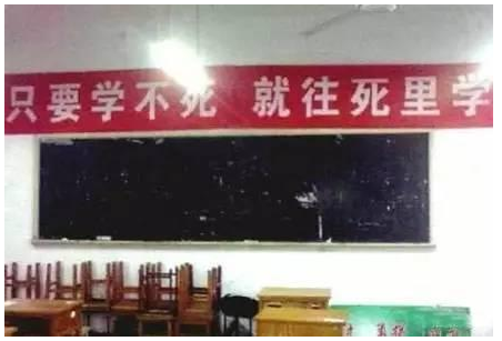 |“钓鱼的时候飞到我手上的，第一次见，谁知道这个是什么？”