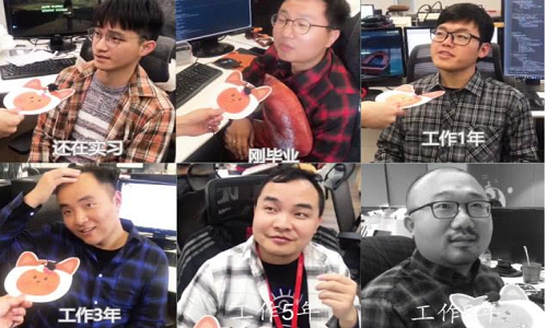 程序员：用python画一棵樱花树送女朋友，别说程序员不懂浪漫