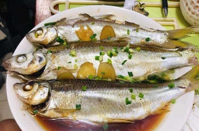 #水库#很多钓鱼人都认为黄尾鱼难钓，掌握五个技巧，钓一次爽一次