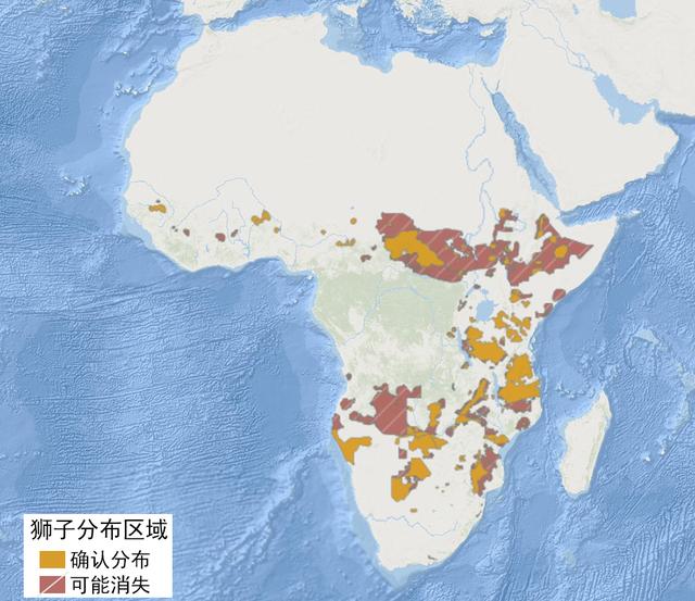 野猪|渡渡鸟的灭绝真的是因为笨吗？事实上与猪有关