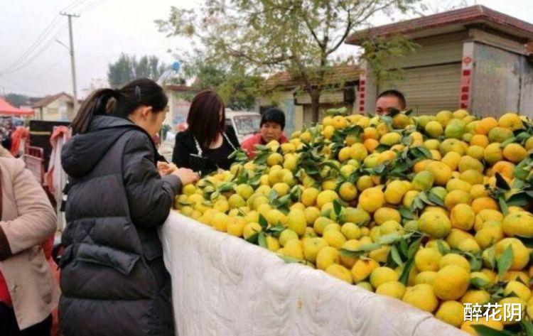 越南|自作主张给中国送来2500辆卡车水果，中国婉拒后，全部溃烂于大街