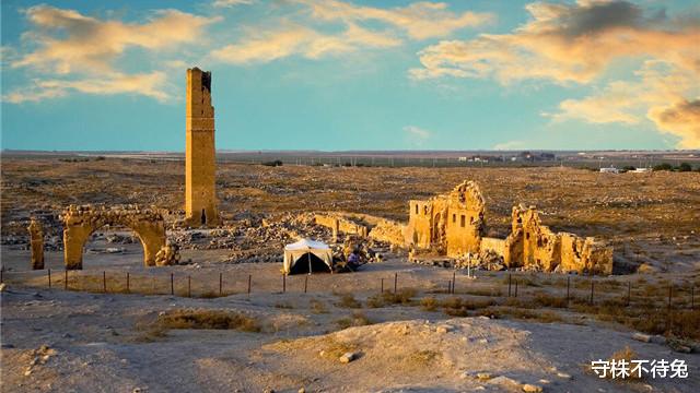 |23个冷知识：学校里不会教，但却真实存在着