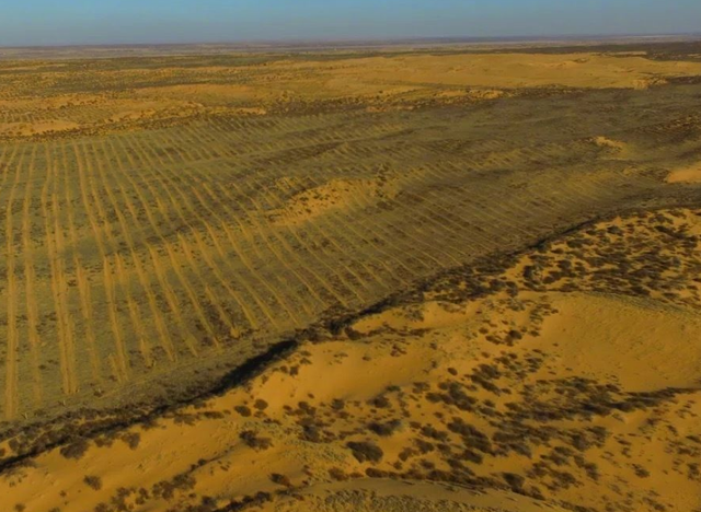 蚂蚁森林|马云退休后，蚂蚁森林还在种树吗？当卫星图曝光后，网友纷纷泪目