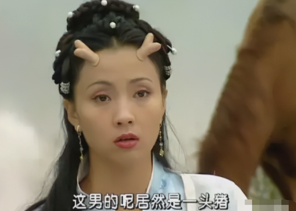 春光灿烂猪八戒|《春光灿烂猪八戒》19年：嫦娥变大妈，而他这辈子再没机会演戏