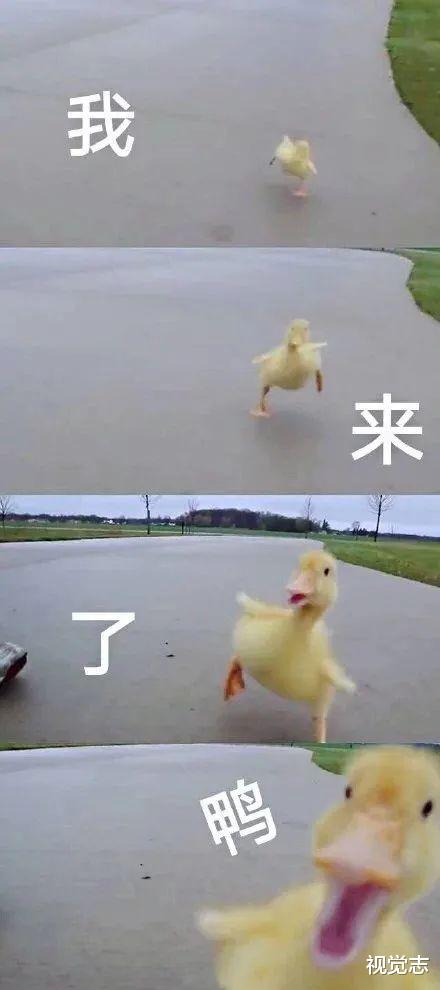 长三角|网购的世界太奇妙，什么鬼都能买到……