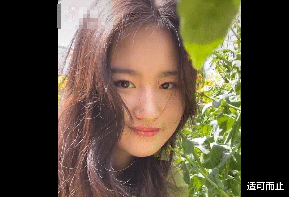 「刘亦菲」农村“刘亦菲”火了，摘油菜花拍照，网友：你比现在的刘亦菲还像刘亦菲