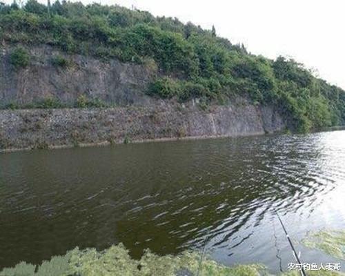 稻谷|夏季天天高温难钓鱼,学会谷物钓法,夏季野钓小杂鱼不闹窝钓得多