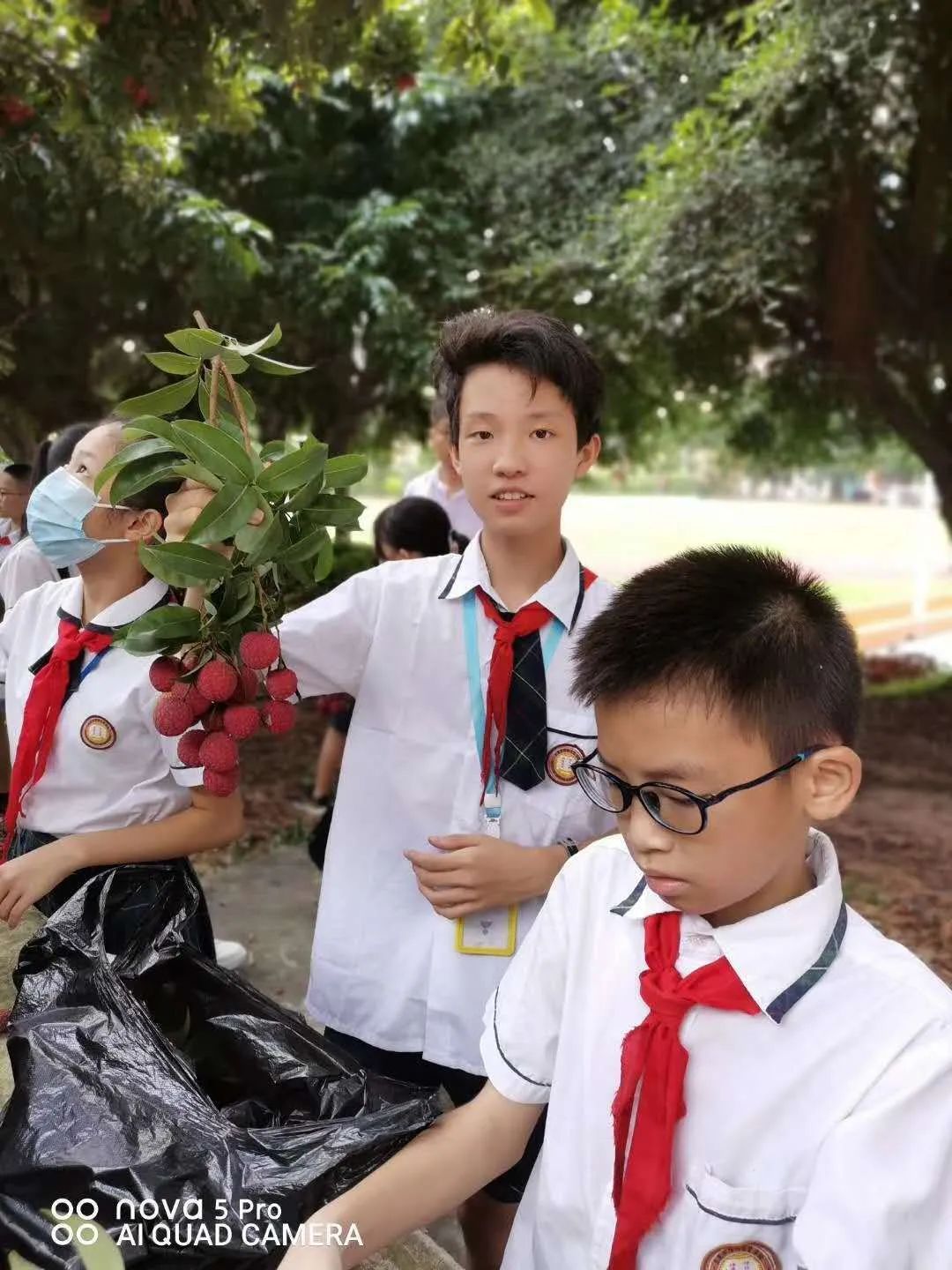 []因为学校荔枝树挂满了果，所以学生们都摘荔枝去了！