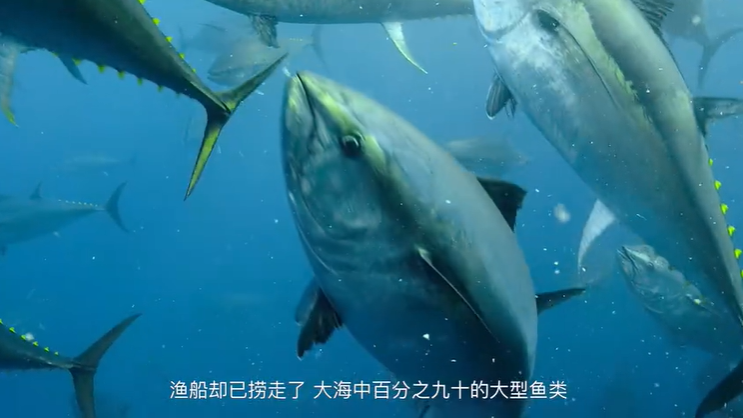 豆瓣|豆瓣9.4分，却只有两千人看过：这部纪录片，我不敢看第二遍…