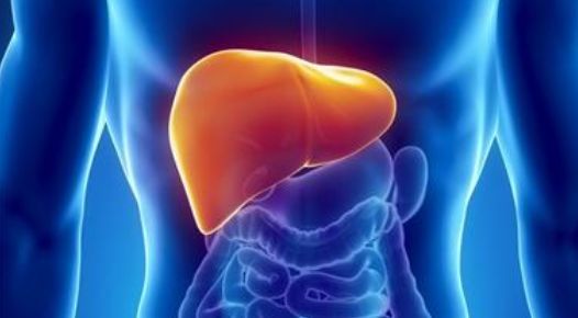 [肝脏]一旦头发有4个表现，十有八九是肝出问题了，抓紧养护肝脏吧