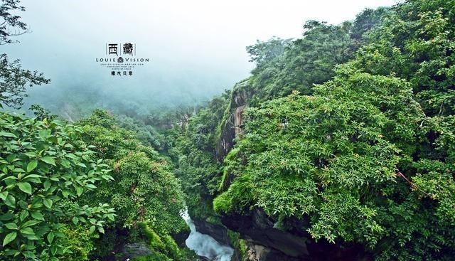 西藏|西藏一条沟谷，因央视曝光而闻名，被称为“悬挂在峭壁上的要道”