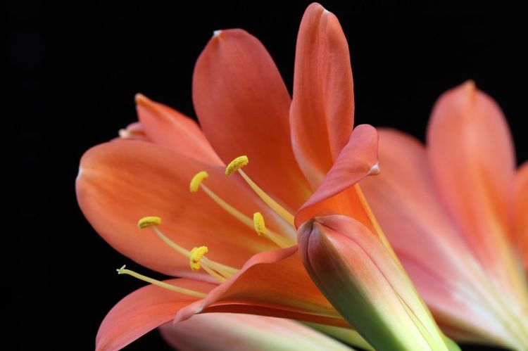 直男|9月份下旬起，好运常伴左右，财运不离不弃，诸事大吉的四大生肖