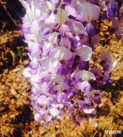 |出生在哪些时辰的人，打破陈旧规矩，用行动证明自己能行！