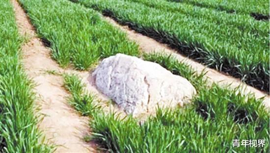 『』世界上最“矮”的山，尽管海拔不到1米高，却无人能攀登成功！