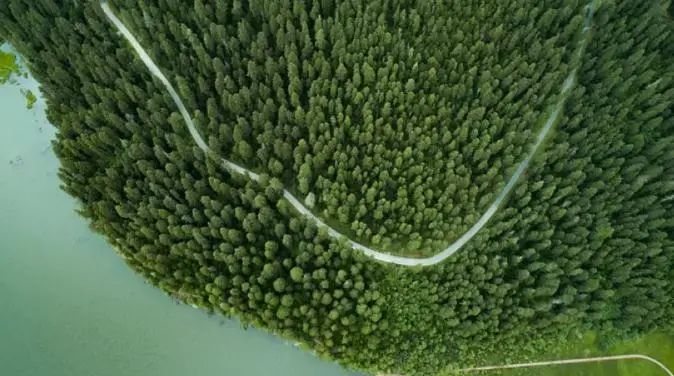 BBC：中國植樹造林的作用“被低估瞭”-圖3