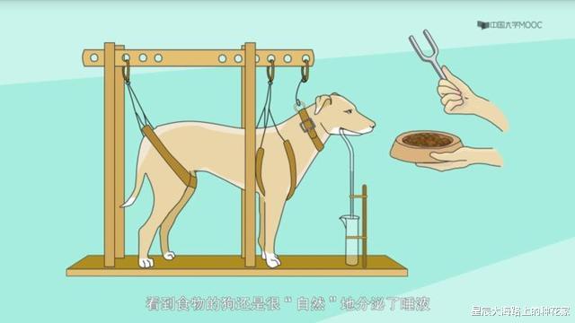 「薛定谔」科学史上五大神兽，除了薛定谔的猫，你知道其它四大神兽吗？