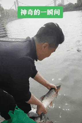 话晴空|为了活到99，大爷大妈们竟然“放生牛奶，矿泉水”