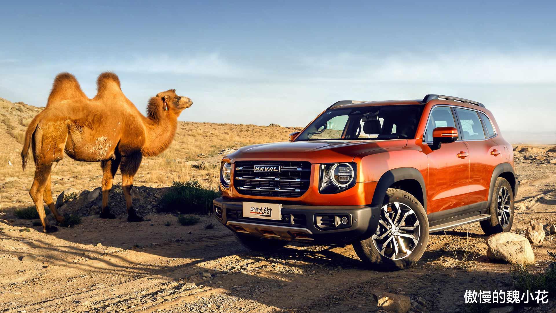 哈弗|“哈弗大狗”这回稳了，2.0T版首次亮相，四驱系统+差速锁，性能太强悍