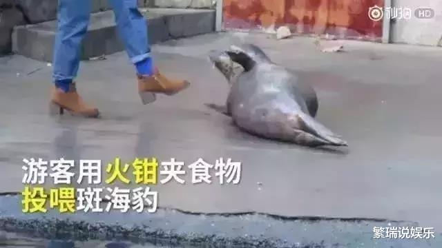 『大象』让人类羞耻的30张图