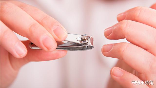 |28个冷知识：教科书上不会有，或许只有少数人知晓