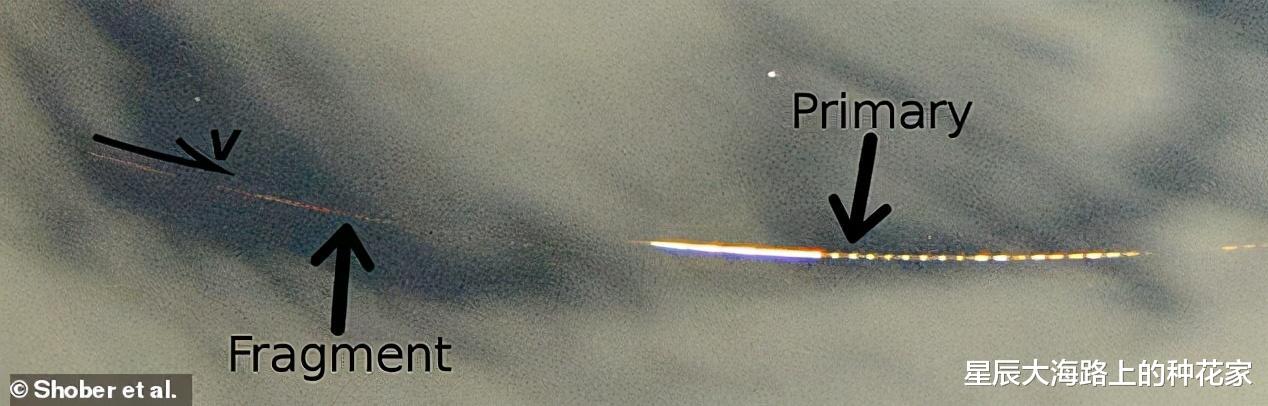 科学家|哈佛科学家：地球生命在很久以前，就已通过特殊通道到达了金星！