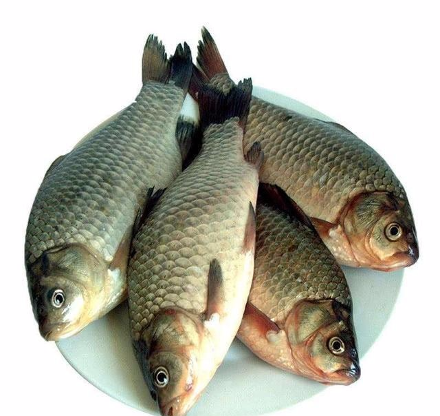 猪肉|俗语“买肉不买槽头肉，吃鱼不吃鲫壳鱼”啥意思？