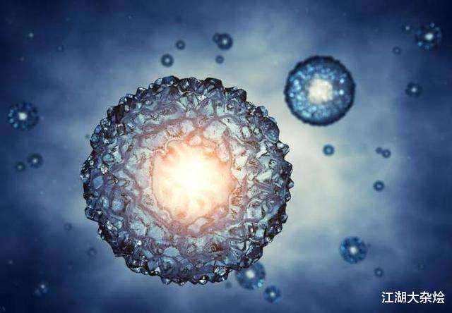 :浆细胞放大到5000倍,看见里面的景象,才明白这句话不无道理