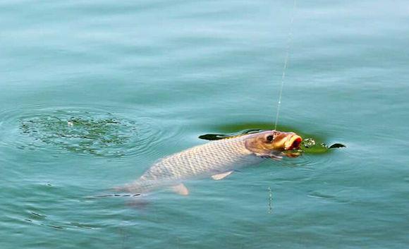 |钓鱼人的快乐,不钓鱼的人永远无法理解,说说我的故事