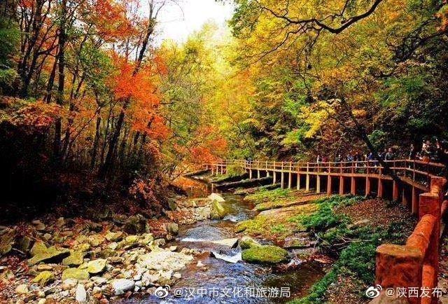 汉中|汉中这个景区的红叶已进入最佳观赏期