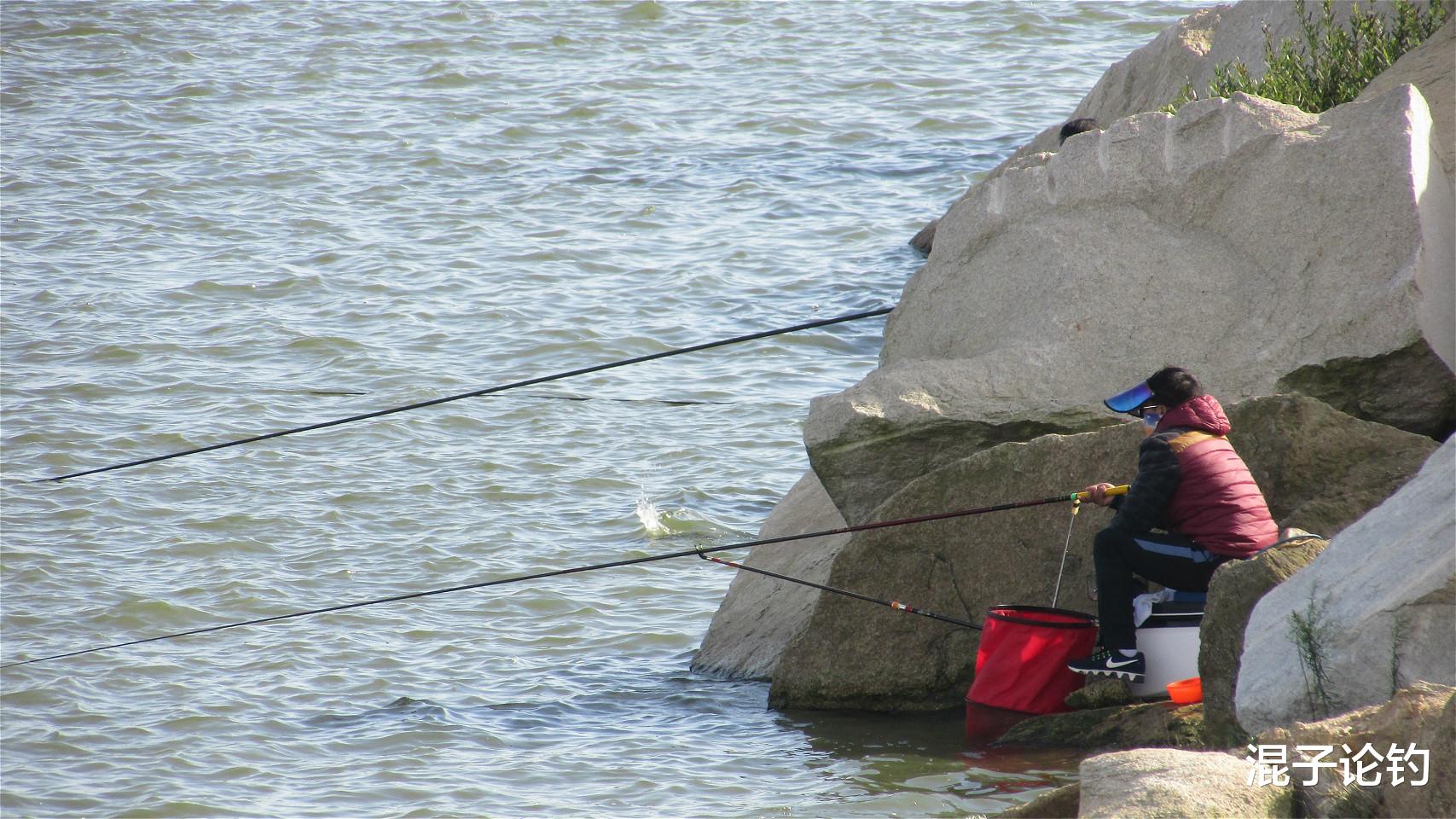 鲫鱼|初冬时节玩野钓，掌握这三个关键要素，大鲫鱼连竿上