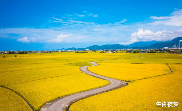 生肖|11月底，嫁给爱情，不负彼此，恩爱不分离，终成眷属，余生甜蜜