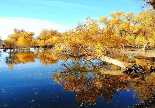 云南|28个最适合9月出行的地方,去邂逅第一场秋色!