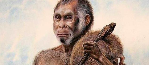 虎鲸|大部分雌性动物都没有绝经期，为什么人类却有？