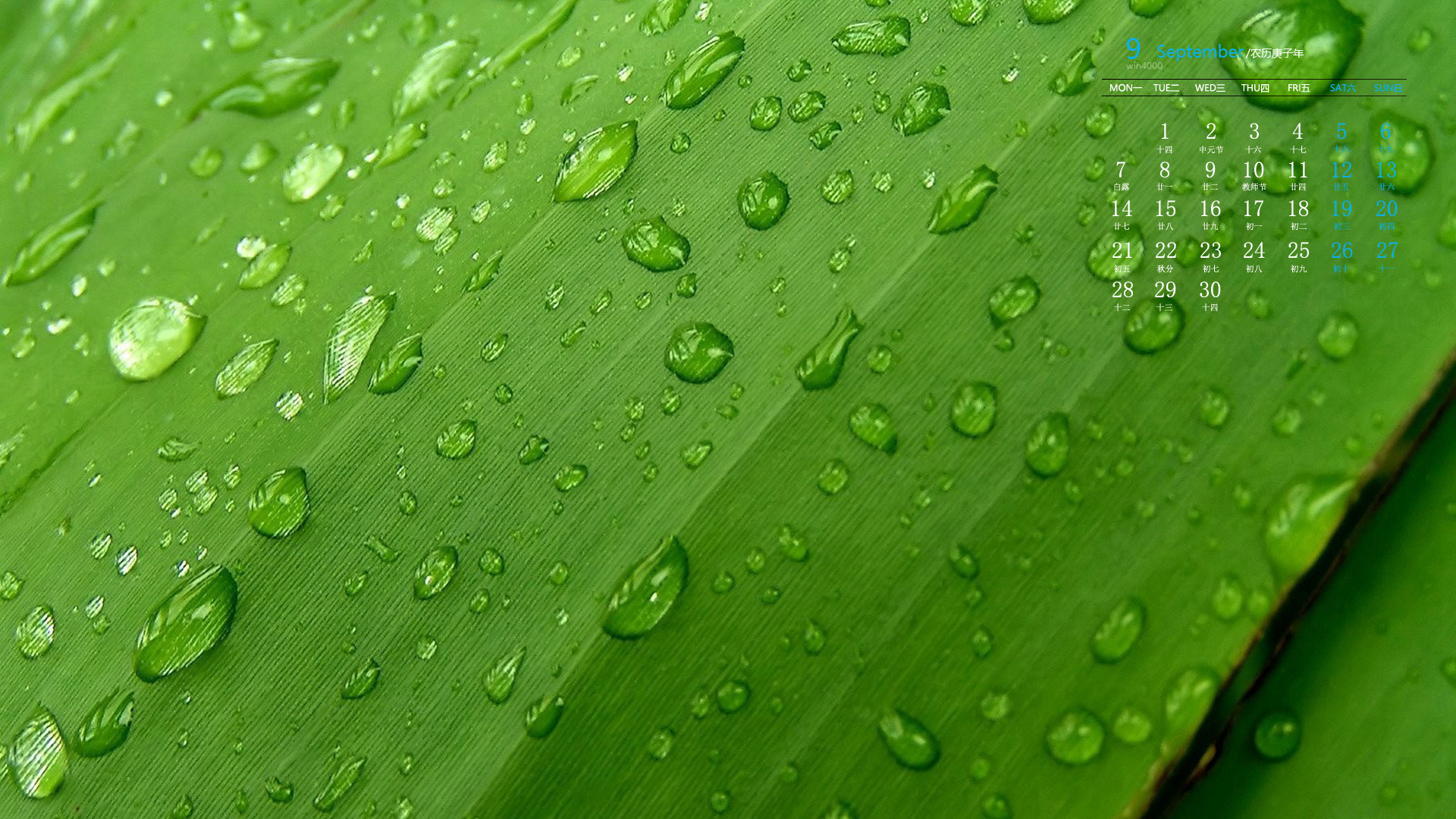 运势|从周末开始，运势越来越旺，会福财两旺，不枉此生的三大星座